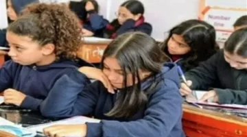 نتائج القاهرة.. رابط الاستعلام عن درجات الصف السادس الابتدائي بالرقم القومي